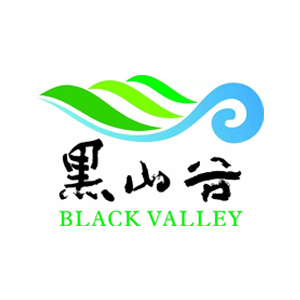 虹橋環(huán)衛(wèi)