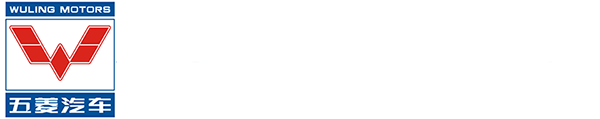 電動(dòng)觀(guān)光車(chē)-燃油觀(guān)光車(chē)-高爾夫球車(chē)-觀(guān)光小火車(chē),實(shí)力定制廠(chǎng)家-[五菱]